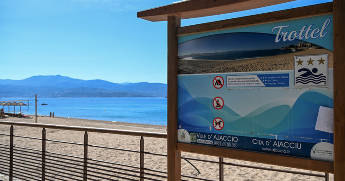 Ces jeunes qui ont tenté de sauver Jean Jacques