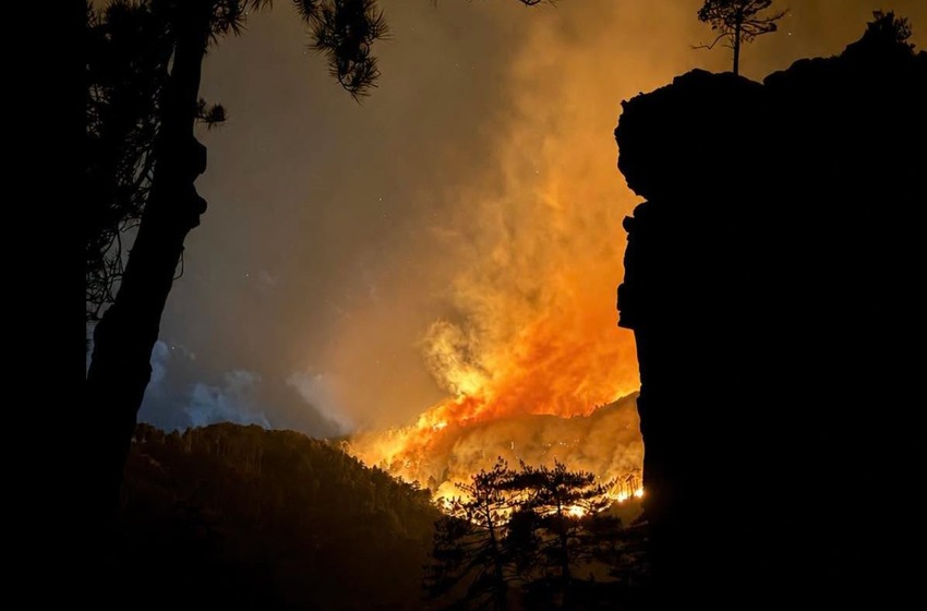 Dernier bilan sur les feux en Haute-Corse : près de 300 hectares partis en fumée à Albertacce, plus de 600 dans la Restonica