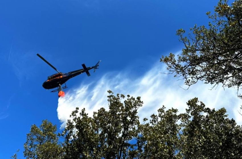 Incendie à Vivariu : 3 hectares détruits