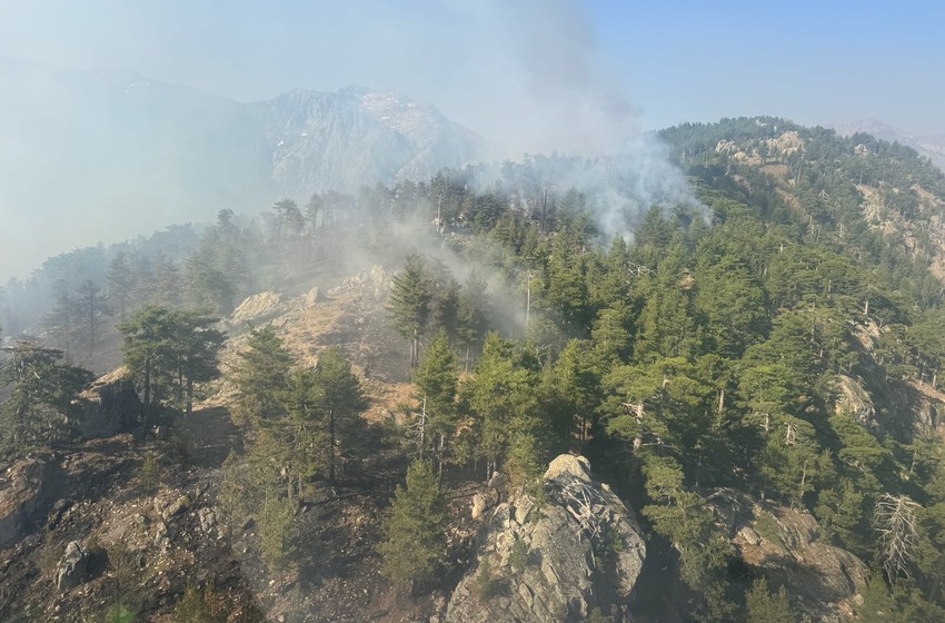Incendies d'Albertacce et Corte : le point sur le situation