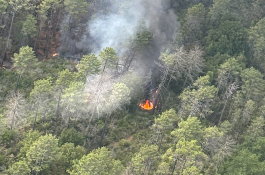 L'incendie de Solaru a été fixé par les pompiers 