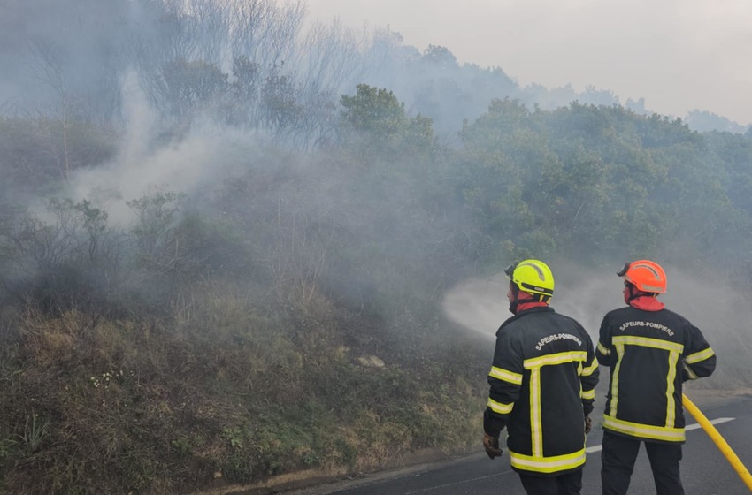 Loreto di Casinca : cinq à dix hectares brûlés dans un feu de forêt toujours actif