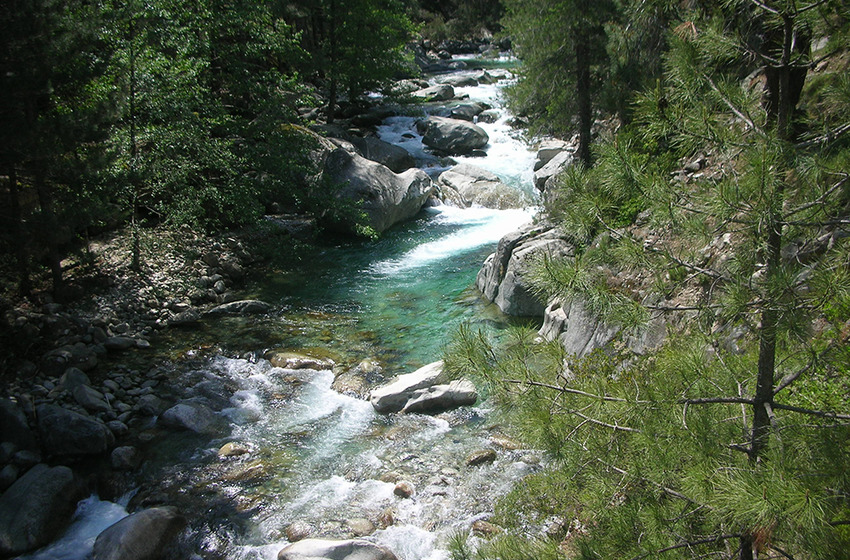 Pollution : baignade est interdite au niveau du pont de Spina Cavaddu sur le Rizzanese en Corse-du-Sud