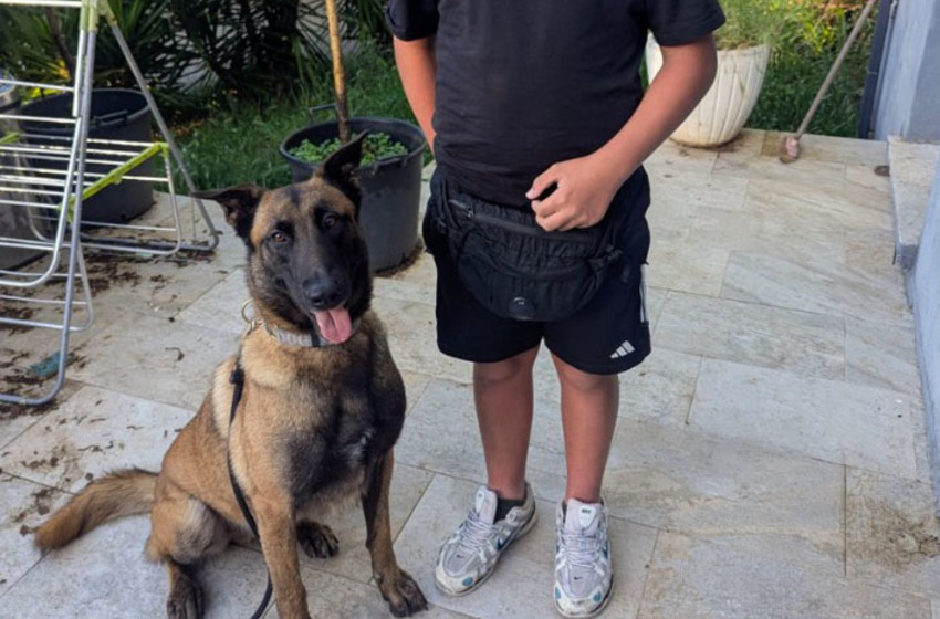 Un chien de la gendarmerie retrouve un enfant de 11 ans qui avait disparu à Valle di Mezzana