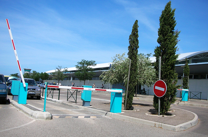 Une chienne de 11 mois trouve la mort, écrasée par les tapis roulants de l'aéroport de Calvi