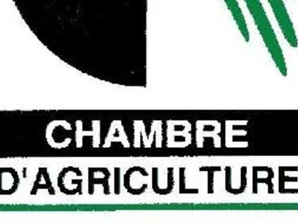 La Chambre D Agriculture 2a Veut Le Maintien Du Projet De L